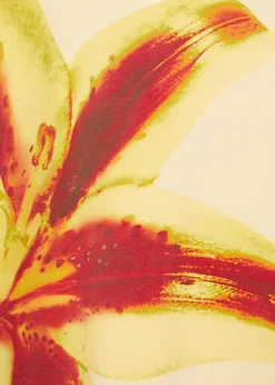 MANGO Sukienki I Kombinezony*Mieszana wzorzysta sukienka